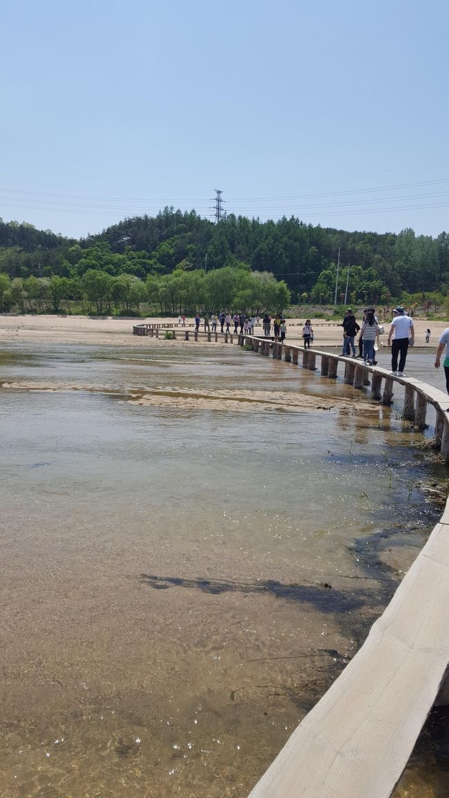 大邱旅行2日目は田舎に日帰り旅行。<br />本当は順天に行きたかったんですが、5月3日と5日は韓国も祝日で、中日を合わせて連休の人も多いらしく<br />案内所で聞いたところ、順天行きのバスが満席で取れませんでした(T_T)<br /><br />急遽行先変更し、次に行ってみたかった栄州（ヨンジュ）に行くことに。<br /><br />栄州まではバスより鉄道で行く方が楽そうだったので鉄道ムグンファ号で向かいました。<br />目的地はドラマ撮影なども多数されている「ムソム村」です。