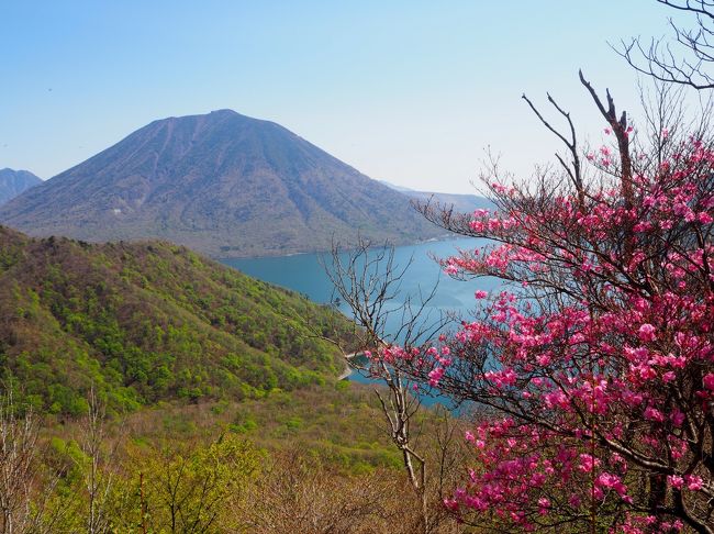 日光中禅寺湖の真南に鎮座する『社山（しゃざん）』にハイキングしてきました。<br />東京から車で約２時間、中禅寺湖畔に車を停めると、水辺の絶景に出会えました♪<br /><br />初めての山ですが、中禅寺湖畔のブルーを眼下に見ながら男体山や日光白根山などの日光連山の山並みも望めます。<br />今回は行けなかったのですが、近くに半月山展望台もあり「中禅寺畔～半月山の眺め」はユニークな光景のようです♪<br /><br />≪アクセス≫<br />東北道：宇都宮IC～日光宇都宮道路：清滝IC下車。<br />国道120号（いろは坂）経由で約15km。<br />立木観音前に歌ヶ浜駐車場があります（無料）<br />歌ヶ浜駐車場には綺麗な水洗トイレ完備。<br />カーナビ：歌ヶ浜トイレ<br /><br />≪写真≫社山山頂から望むアカヤシオ咲く中禅寺湖と男体山<br /><br />