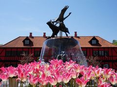 花いっぱいのアンデルセン公園。静かな林にはひっそりと、キンラン。