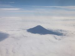 2016 広島アウェイは大久野島と尾道散策【その１】前泊して大久野島へ