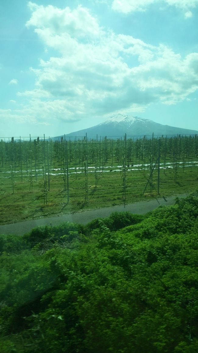 5月18日北海道新幹線で新青森に到着。<br /><br />まずは不老不死温泉に向かいます。<br /><br />新青森からリゾート白神に乗車。<br />約３時間の乗車予定。<br /><br />新青森～ウェスパ椿山まで、岩木山をのぞみながら電車に揺られます。<br />すでに新幹線で何度か乗継ぎしながら新青森まで来ていたため、若干の疲れが出ており、リゾート白神の車内でも、寝ちゃうかな。<br />と思っていましたが、車窓からの景色がとても素晴らしく、寝ている余裕は有りませんでした。<br /><br /><br /><br />