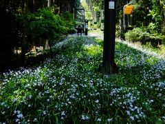 湖北への旅 vol.3。──「湖北随一の景勝地・賤ヶ岳」