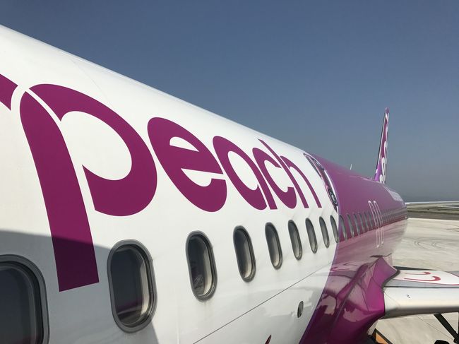 Peach Aviation(ピーチ)で台湾を往復しました。<br />ゴールデンウィークという繁忙期の状況をお伝えします。