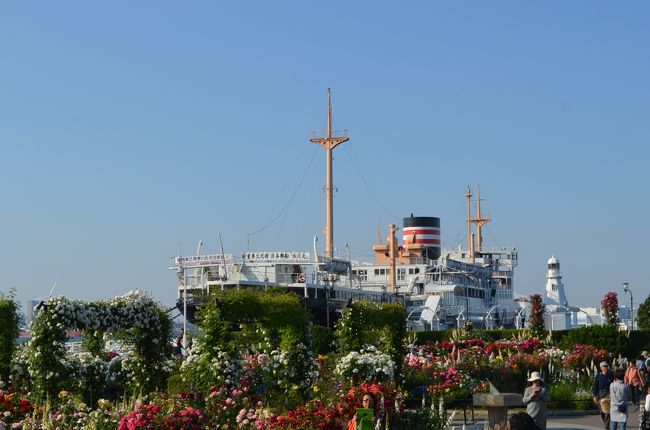 今年の春は、「ガーデンネックレス横浜2017」で横浜の街は１００万本の花々で彩られている。<br />天気の良い日に久しぶりに「港の見える丘公園」を訪れた後に、続いてアメリカ山、山下公園を訪れた。<br /><br />●アメリカ山公園は、みなとみらい線「元町・中華街駅」の駅舎上部を増築した立体都市公園で、眺望もよく花とマッチしている。外人墓地からも降りてこられる。 <br />●山下公園は、昨年＜未来のバラ園＞としてリニューアルして、約190品種のバラが見事。異国情緒溢れる港にバラと素晴らしい景観を醸し出している。 <br /><br />「ガーデンネックレス横浜2017　港の見える丘公園」は以下です。<br />http://4travel.jp/travelogue/11244569