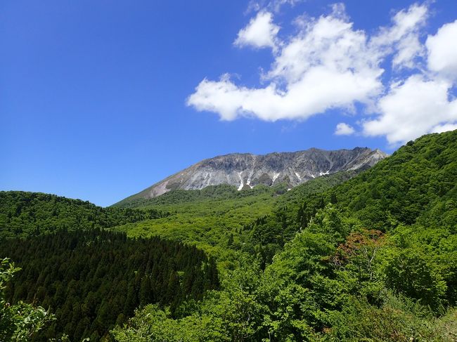 シニアの友！！みたいな感のある（笑）、各地の休暇村<br />めちゃリーズナブルやし、平日旅行できるようになったら、一度宿泊してみたいよねん、と夫婦の会話で話題に出て…<br />そんな時、休暇村奥大山で「大山ブナ原生林と春の野草観察プラン」なるものを発見！！<br />とにかく「ブナの森を歩く」シチュエーションが大好きな我が夫のハートをソッコーでキャッチ！！（←昭和なフレーズ（笑））<br /><br />「行くとしたら車になるけど…運転大丈夫なん？？」<br />「ブナのためなら行くわ」<br /><br />常日頃こちらが頼んでも、なかなか運転したがらないのに…ブナ＞ツマかいっっ！！と思いつつ（笑）ならついでに温泉にも行っちゃおうかなぁ～と(^_^)v<br /><br />な、ワケで…めったにない車旅、少しでもどなたかの参考になれば幸いっす(^_^)v<br />（訪れた施設等はクチコミをご覧ください(^.^)）<br /><br />宿泊<br />大山　奥大山休暇村<br />湯原温泉　湯快感　花やしき