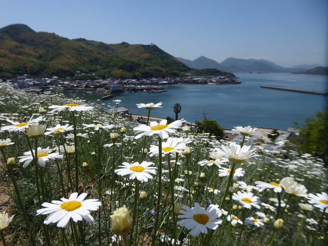 2017年のＧＷは、しまなみ海道を自転車で旅しました。<br /><br />今回は、途中、寄り道をしながらの、のんびり旅行。<br /><br /><br />自転車で坂を登るのはきつかった。<br />汗をかきかき、ひらすら、ペダルをこぎました。<br /><br />３泊４日の旅<br />尾道から入り、今治へ。<br />寄り道したので１００㌔くらい走りました。<br /><br />道後温泉に立ち寄り湯。<br />松山空港から羽田というスケジュールです。