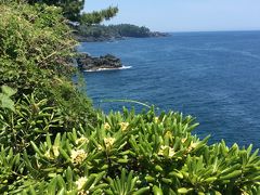 伊豆高原　　大室山→きらの里→城ヶ崎海岸ハイキング