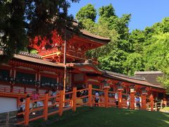 奈良ひとり旅は伊丹空港から～春日大社と東大寺～