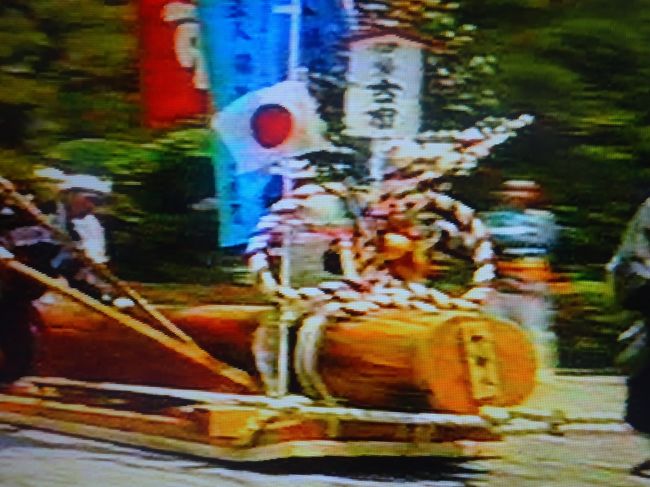 1泊2日で三河湾(蒲郡 伊良湖)と鳥羽 伊勢 松坂を旅しました｡伊勢神宮内宮では､偶然､第61回式年遷宮の御木曳行事(内宮での川曳)が見られました｡<br />(写真はﾋﾞﾃﾞｵｶﾒﾗからの転用のため､不鮮明です｡木曳は｢ｴﾝﾔ｣の掛け声とｽﾋﾟｰﾄﾞ感がありﾋﾞﾃﾞｵでの映像は迫力がありました｡)<br /><br />{旅程}<br />①5/9(土)  周遊券13300円<br />1)東京6:20(新幹線特急券3100円)8:32豊橋8:40(電車)9:00蒲郡に着き､<br />2)(竹島見学)弁財天(八百富神社)竜神岬を見て､10:40(船 11:00西浦 11:40篠島)12:05伊良湖に着き､<br />2)(伊良湖観光)伊良湖灯台 日出ﾉ石門を見て､(昼食)1000円ﾋﾞｰﾙ470円<br />3)伊良湖15:15(高速船1000円)16:15鳥羽(ﾊﾞｽ)二見ヶ浦(夫婦岩見学)(ﾊﾞｽ)鳥羽(船330円)菅島に行き､民宿｢はるみ家｣(6800円)宿泊します｡<br />②5/10(日)<br />1)菅島8:20(船330円)鳥羽9:30(ﾊﾞｽ 伊勢志摩ｽｶｲﾗｲﾝ経由 9:51(朝熊山寺上広苑を参拝)10:51伊勢内宮前11:13に行きます｡<br />2)(内宮参拝)お木曳の行事を見ます｡(鳥居 橋 五十鈴川 表参道 御手洗場 正殿 荒祭宮 御用材) 内宮13:16(ﾊﾞｽ)13:26外宮に行き､  <br />3)(外宮参拝)表参道 正殿 多賀宮 風宮 土宮 御池 裏参道) 電車で松坂へ<br />4)(松坂見学)魚町 松坂城址(天守閣跡 本丸 二の丸 本居宣長記念館 鈴屋旧宅 御城番屋敷)を見学します｡<br />4)駅近くの焼肉店2550円(｢和田金｣のすき焼きは高いので止めました｡)<br />5)松坂(私鉄特急券800円)名古屋(新幹線)東京に戻ります｡