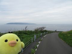 北海道　羽幌町の天売島と焼尻島をたびするトリ