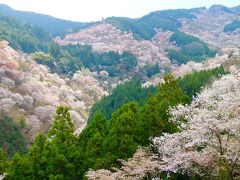 【2017年】春の奈良一人旅