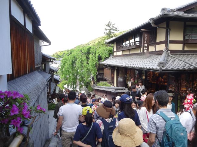 晴天の行楽日和が続くGWです。昨日は高山から帰って来たのが夜中になり、午前中は自宅でゆっくりしていました。1日中自宅でゴロゴロしていても仕方がないので、午後から清水寺がある東山界隈へ出かけます。清水寺から八坂神社までは京町家が続き、ゆっくりと土産屋を見ながら歩くことが出来ます。運動を兼ねて初夏の京都を楽しみました。