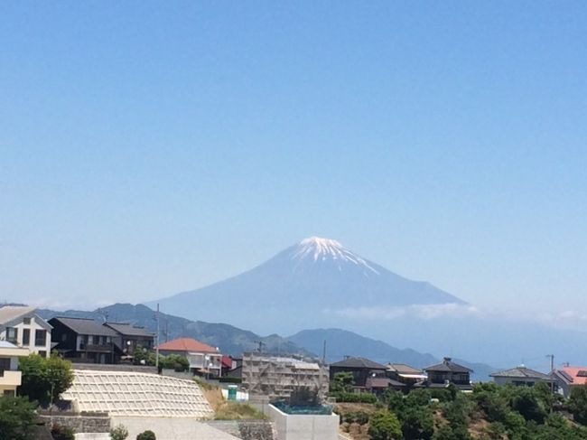 横濱屋根下によるサポーターバスで、アウェイ清水に遠征。<br />名古屋在住の知り合いサポさんは新幹線→シャトルバスで参戦の為、スタジアムで落ち合う予定。<br />屋根下バスは、料金前払い・アウェイゴール裏チケット付きで往復6000円と格安。<br />横浜駅近くの天理ビル前8時30分発、途中足柄SAで休憩。<br /><br />足柄SAには富士山の名水を水道用蛇口から無料で飲めるので、こちらで、持参のペットボトルに詰め込み<br />おやつにミルクランドのジェラートを購入。<br /><br />IAIスタジアム日本平には、11時20分に到着。<br />遠くに、海、そしてその向こうに富士山がくっきり見える。ああ、素晴らしい光景。<br />いつかこんなところに住んでみたい。<br /><br />近くにコンビニがあるわけでなく、スタジアムグルメが唯一のランチ購入の場<br />というスタジアムでは、ビジターにも、ホーム側のスタジアムグルメを開放してくれているところが多いが<br />（カシマ・柏を除く）<br /><br />IAIスタジアムもその一つ。<br /><br />名物の、桜海老かき揚げ丼は、ほかほかご飯に塩だれそして揚げたて熱々の桜海老のかき揚げが乗った一品<br />シンプルで美味。2杯くらい食べれる。<br /><br />試合は、マリノスの大勝利！<br />気持ちよくスタジアムを後にし、8時頃に横浜着。<br /><br />最高の1日遠征でござった！<br /><br />