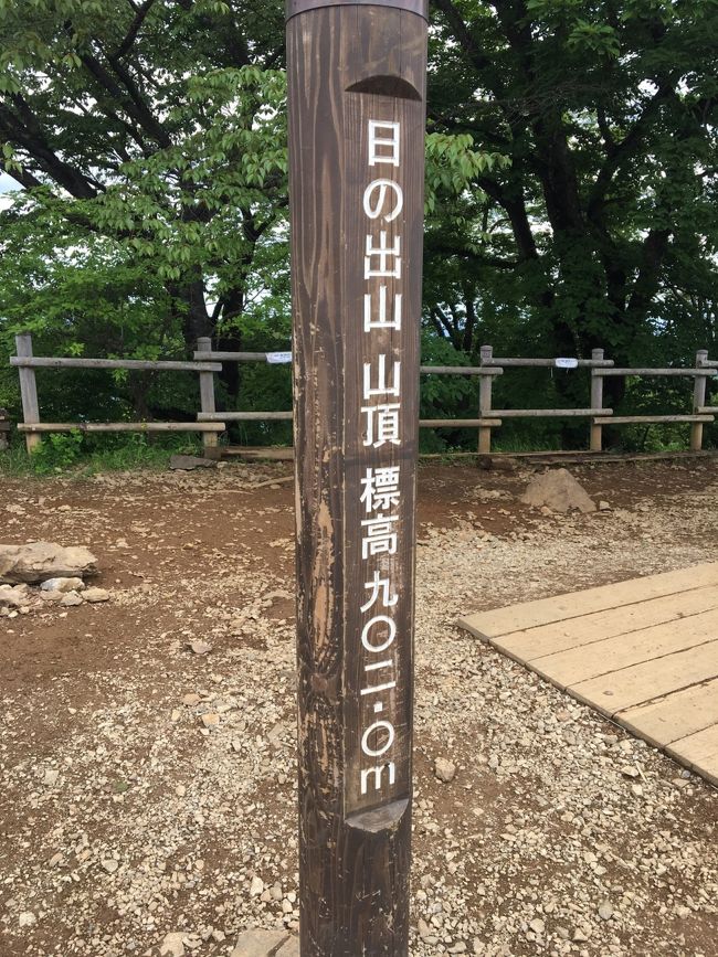 日帰りで軽めのハイキング！<br />今回選んだのは、日の出山。<br />武蔵五日市駅の美味しい蕎麦屋さんも行きたいねーと話していたけど、バスの時間と蕎麦屋さんのオープン時間の兼ね合いで下山は猛烈ダッシュ！<br />軽めのはずが、筋肉痛になりました。でも楽しかった！