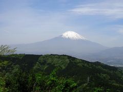 初心者オバサンと行く矢倉岳　～爛漫～