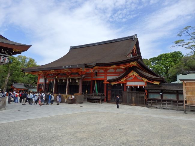 ゴールデンウィークを利用してバイクで京都、熊野へ。<br /><br />旅の日程は後述のとおり。<br /><br />前編は出発後、伊豆での釣行を経て、京都観光まで(2017年5月3日～2017年5月5日)。<br /><br />[旅の日程]★印は出発前に手配したもの<br /><br />○2017年5月3日(水)<br />早朝に自宅(川崎市)を出発し伊豆片瀬白田へ。<br />終日渓流釣り。<br />伊豆天城高原泊★<br /><br />○2017年5月4日(木)<br />伊豆を出発し京都へ。<br />神戸でライヴを楽しんでから京都に戻り京都泊★<br /><br />○2017年5月5日(金)<br />京都市内ならびに郊外を観光。京都泊★<br /><br />○2017年5月6日(土)<br />和歌山～三重の熊野三山にお参りした後、名古屋に移動。名古屋泊<br /><br />○2017年5月7日(日)<br />名古屋から帰京。<br /><br />この後(後編)はこちら：<br />　http://4travel.jp/travelogue/11247093<br />  (なぜかリンクが正しく張られないようです。参照できない場合は直接ブラウザにURLを入力して下さい)