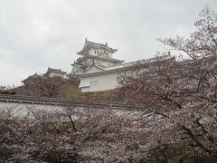 ③JETスターのキャンペーンで行く [兵庫] 竹田駅周辺～姫路城～関空～成田