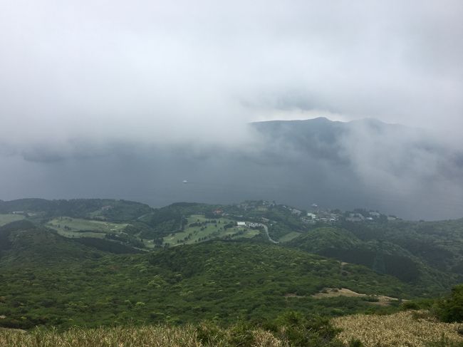 息子が「温泉に行きたい」といっていたので、近場で雰囲気のあるところという事で箱根に決定。<br />適当に観光と温泉を楽しんできました。<br />今回の旅程は<br />自宅→御殿場から箱根In→はつ花本店で昼食→箱根神社→小涌谷温泉水の音(泊)<br />旅館→元箱根港→海賊船で芦ノ湖1周→箱根園の駒ヶ岳ロープウェー→御殿場でお土産購入→帰宅<br />そこまで詰め込んでいません。行き当たりばったりのもあります。