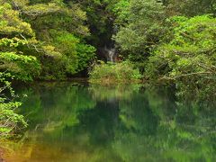 【八丈島】三原山ハイキングと神秘の光景、唐滝・硫黄沼