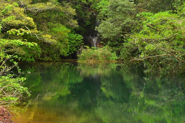 八丈島の旅、2日目は三原山へ登ってきました。<br /><br />八丈富士ほど人気のある山ではないですが、この山の見るべきところは山頂ではなく山腹の森の奥。<br /><br />鏡のように景色を映し出す「硫黄沼」と島内最大落差を誇る「唐滝」、どちらも神秘的な光景で秘境感あふれる場所でした。<br /><br />ぜひともおすすめです。<br /><br />▼ブログ<br />http://bluesky.rash.jp/blog/hiking/miharayama.html