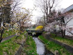 2017.5 札幌市内近郊、地元民おすすめの桜名所めぐり