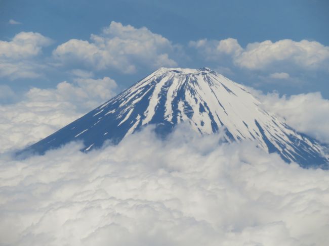 羽田空港から伊丹空港まで５月末に飛びました。季節ごとに違った姿を見せる富士山など、１万メートルの上空から見た景色を紹介します。