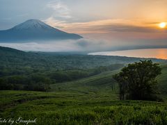 2017年山中湖ロッジ滞在記（３）　絶滅危惧種の野生の花を見たり、雲がかかった富士山を眺めたり・・・