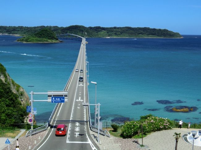 山口県下関市北浦地方にある角島。角島大橋と海の美しさで知られる島ですが、この時期にのみ見られる美しい風景があります。<br />それが島の北端夢崎に咲くハマユウです。ハマオモトとも呼ばれており夏のこの時期にのみ咲く花ですが、ここ夢崎が北限地になっています。角島大橋の景色が最も美しい時期ですので、久しぶりに橋の観光も兼ねて訪ねてみました。