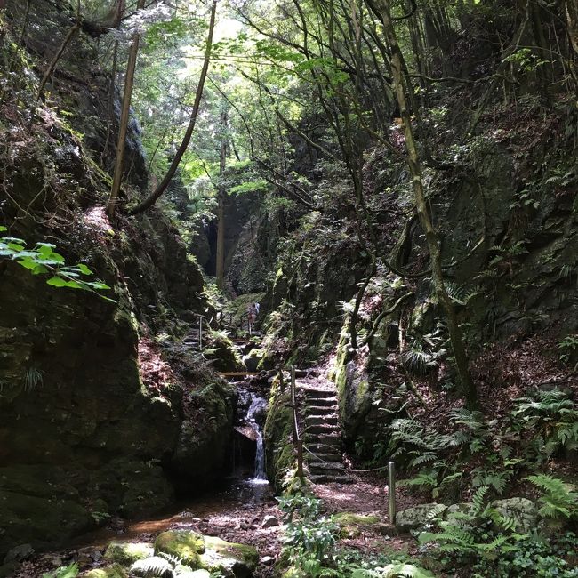 埼玉県の越生町にあるInstagramうけしそうな光景が広がるマイナスイオン満点の黒山三滝に行ってきました！<br />マイナー観光地で、観光客も少なく、快適な滝観光ができました！<br />お昼は地元で人気のお蕎麦やさんで三色そばを食べた後、上谷の大クスを見てきました。<br />予想以上に大きな大クスで、屋久島の縄文杉を思い出しました。<br />こちらも、マイナーなスポットで誰も観光客が居ませんでした。ここは、とっても穴場です！