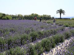 旅するイルカ♪　和泉リサイクル環境公園へ　初夏の陽気に誘われて