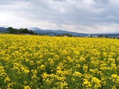 2017年5月、中央本線石和温泉から小海線小諸、あちこちいろいろ