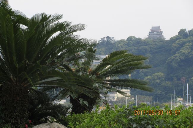 熱海温泉は今年の正月以来です。近いので時間が取れると出かけます。伊東園ホテルズは通常でもリーズナブルな宿泊料なのですが、特に誕生月は半額近い宿泊料金割引なので、月末の滑りこみ利用をしました。一泊2食・飲み放題・食べ放題で5,000円ちょっとですからチャンスは逃せません。<br />幸い天気予報も晴れ。足慣らしで、箱根・十国峠を往復歩く心算ででかけました。が・・・大失敗です。登山ではないので数十年前のキャラバンシューズを履いて出かけました。靴はしっかりしているのですが、足の方が歳をとったのかな ?、熱海に着いた頃から足指先が痛くなりOUTです。無理は出来ませんのでHOTELに直行。温泉に入って「モミホグシ・自前」・夕食・飲み放題の生ビールで本日は閉店(休養)しました。<br />翌日は少し回復した。ホテルのシャトルバスで「JR来宮駅」まで行きました。熱海は坂が多い町です。バスは急坂をは上がります。来宮駅まで上れば後は苦になりません。「来宮神社」まで10分位かな ?、歩いて参拝し、写真を撮って、帰り道の「JR熱海駅」まではず~~~と下り。アクシデントはありましたが充実した温泉漫歩でした。<br /><br />表紙の写真は坂道の途中から撮った風景・「ココナツの椰子」の樹と遠方の「熱海城」<br /><br />