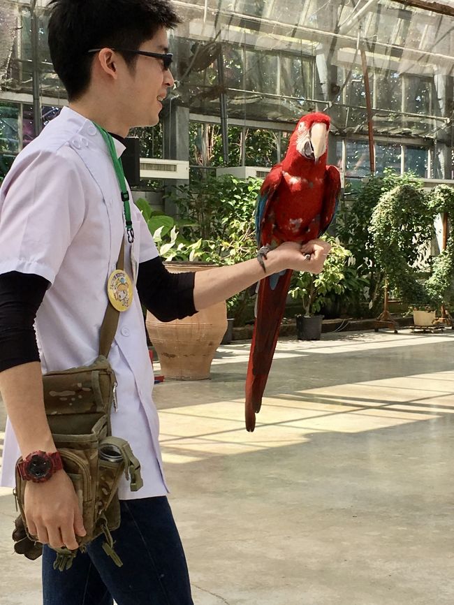 そんなに鳥が好きでなくっも楽しめる 行ってよかった 掛川花鳥園 掛川 静岡県 の旅行記 ブログ By Someさん フォートラベル そんなに鳥が好きでなくっも楽しめる 行ってよかった 掛川花鳥園 掛川 静岡県 の旅行記 ブログ By Someさん フォートラベル
