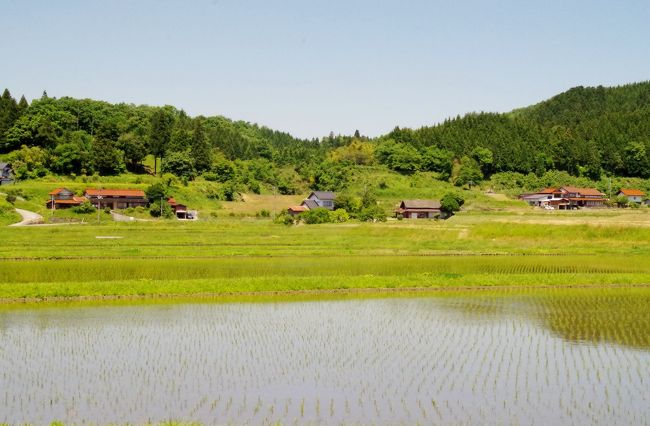 たおやかな山々が連なる中国山地の山間に、里山も人の心も美しく温かい島根県飯南町があります。<br /><br />現在の出雲大社神楽殿の大しめ縄は平成24年に新調されたもので、そのクライマックスともいえる作成・取り付けの場面は5年前にこの4トラに発表しています。<br />今回はその大しめ縄の架け替えが来年6年ぶりに行われるということで、その一連の行事のスタート『赤穂もち』の田植が、今日の舞台島根県飯南町で行なわれました。<br /><br /><br /><br />