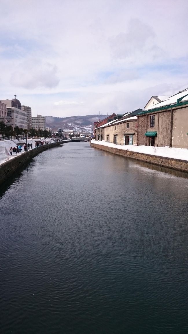 ３月７日～３月９日の２泊３日で神戸から北海道に行きました。<br />まだまだ寒く、雪は残っているのに、雪まつりは終わっているという閑散期ですが、楽しむことが出来ました。