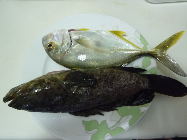 鵬福觀光遊艇で釣り 屏東 2017/05/30<br /><br />息子、息子の友達と屏東県東港の鵬福觀光遊艇へ釣りに行きました。環境は観光船が行き交う中の風光明媚、海の水は澄んでいてとても綺麗なところでした。天気は曇りがち、不安になりましたが、釣り始めると案の定、大雨に見舞われました。小雨になりましたが、すぐに大雨。大雨、小雨を繰り返される中、雨宿りをしながら、小雨の時に釣りをしていました。雨や止むと、今度は強い日差しを浴びながらの釣りでした。我々以外にも何人かの釣り人がいましたが、皆さん坊主でした。私は小さい石斑と小魚を釣りましたがリリースしました。息子の友達が20㎝位の石斑とマナガツオに似た魚を釣りましたので、有難くいただいて帰りました。釣った魚は、すぐにアイスボックスに入れましたので、調理の時も、食べる時も全く臭みを感じませんでした。私がさばき、妻が料理をして美味しくいただきました。