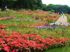 花で満ち溢れる里山ガーデン