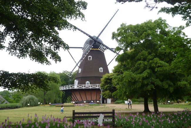 公営の公園ながら、日本人気第3位のテーマパークのふなばしアンデルセン公園を、孫のお供で2年ぶりの訪問。<br />東京ドーム約8個分の広大な園内で、前回は半分くらいしか回れなかったが、今回は前回に行けなかった花の城ゾーンにも足を延ばし、これでほぼ全体を回ることが出来た。<br /><br />夏のアンデルセン公園を追加。（2017.9.19)<br /><br />前回の旅行記は以下です。「ふなばしアンデルセン公園」2015年11月<br />http://4travel.jp/travelogue/11073742<br />