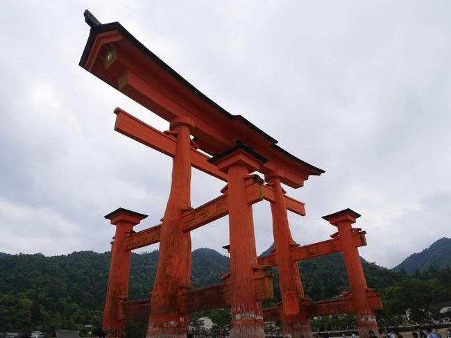さて、働きマンの私にとってGW4日目の朝です。<br />本日は宮島に渡って厳島神社へ行く予定。でもホテルが駅から15分ほどのところにあり、絶対コインロッカーに荷物を入れなきゃあいけません。焦る我が家・・。そうして、8:30の送迎バスに乗りホテルから一路宮島駅へ。<br /><br />《旅程》<br />1日目:5/3(水):松山空港着・砥部動物園&松山城&道後温泉<br />2日目:5/4(木):道後温泉・別子銅山改め、石鎚山・しまなみ海道<br />3日目:5/5(金):しまなみ海道・広島LECT・原爆ドーム・広島平和公園<br />4日目:5/6(土):宮島・厳島神社・広島市内<br />5日目:5/7(日):広島空港→羽田空港<br /><br />《旅費》5/3~5/7 4泊5日<br />□ リムジンバス(全工程合計) \10,360 <br />□ お菓子 \583 <br />□ 飛行機 \111,010 (¥31,510はクーポン)JAL<br />□ レンタカー \39,420 <br />□ 砥部動物園入園料と駐車場 \1,500 <br />□ 飲み物食べ物 \1,743 <br />□ ランチ 東雲 \3,010 <br />□ お土産 \3,234 <br />□ 松山城 \1,320 <br />□ 駐車場代 \500 <br />□ 道後温泉大和屋本店(1泊2食) \70,902 (¥5,500はクーポン)<br />□ 道後温泉本館 \420 (パパのみ)<br />□ 飲み物 \84 <br />□ 石鎚山駐車場 \700 <br />□ ランチ福銘源 \1,645 <br />□ 石鎚山ロープウエイ \5,860 <br />□ 瀬戸内荘(1泊2食) \24,240 <br />□ しまなみ海道:高速料金(広島まで) \4,000 <br />□ 蔦屋書店 本を買う \1,782 <br />□ ランチ LECT \2,667 <br />□ ガソリン代 \2,522 <br />□ はっさく大福 \165 <br />□ 広島平和記念資料館 \400 <br />□ 電車代 \1,710 <br />□ 安芸グランドホテル(朝食付) \22,300 (¥2,000はクーポン)<br />□ ディナーかき小屋 \4,000 <br />□ 飲み物 \450 <br />□ ナイトクルーズ \6,000 <br />□ 宮島観光フェリー往復 \1,080 <br />□ タクシー \870 <br />□ 宮島ロープウエイ \5,400 <br />□ 厳島神社 \800 <br />□ ランチ:とりい \4,750 <br />□ 広島電鉄 \780 <br />□ リーガロイヤルホテル(素泊まり) \36,000 <br />□ ディナー:ANDERSEN \5,346 <br />□ 紀伊国屋書店 本を買う \1,036 <br />□ 朝食:そごうでパン \928 <br />□ ランチ \3,200 <br />■ 合計 \382,717 \39,010(クーポン摘要額) 合計:¥421,727