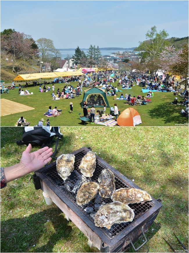 釧路の旅２日目は、朝６時過ぎから行動開始。<br />Iさんの案内で釧路から厚岸、霧多布まで海岸線を走り、厚岸の桜・牡蠣まつりを楽しんだり、タンチョウやオジロワシなどとも遭遇することが出来ました。<br />そして霧多布の宿、ペンションポーチでは、夜遅くまで地元の皆さんと楽しい語らいの時間を持つことが出来ました。<br /><br />牡蠣は寒い時のものと思いがちですが、厚岸の牡蠣は一年と通して食べられます。<br />四季それぞれに、牡蠣の味が変わるそうですが、春の牡蠣は「さっぱりとした美味しさ」だそうです。<br /><br />厚岸の牡蠣、随分前から食べに来たいと思っていたのですが、ようやく念願が叶いました。