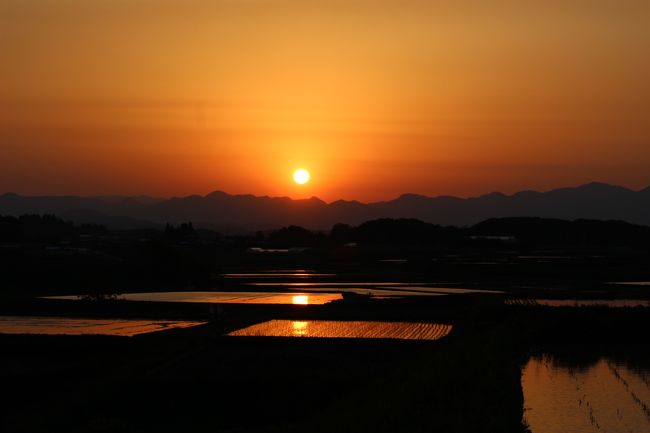 ◆福島・四季・彩々・Ｐａｒｔ,６６・惜春の候<br /><br />☆福島の四季折々の花や自然を紹介している<br />◆福島・四季・彩々も回を重ねＰａｒｔ,６６になりました。<br /><br />旅行記というよりまるで山野草図鑑のようですが<br />自生地への行き方や自生場所を旅行記らしく具体的に書いてしまうと<br />貴重な山野草の自生地が公然と巷に知れ渡ってしまい<br />盗掘の恐れが出てきます。<br /><br />一番悪質なのは山野草を販売目的で盗掘するやからで<br />Ｎｅｔ上ではいかにも種から栽培したかのように記載し販売しながら<br />実は殆どが盗掘という業者や個人が多数います。<br />栽培が困難なのに生態もよく知らずに根こそぎ盗掘する無知な人もいるし<br />なかなか厄介な問題です。<br /><br />楚々とした山野草の美しさや魅力を知ってもらいたい反面<br />具体的な自生場所を紹介できないのがジレンマです。<br />保護地として指定されていたり、管理が行き届いていれば<br />公表もやぶさかではありませんが山野草の危機的状況をご理解していただき<br />ご覧いただければ幸いです。<br /><br />『手に取るな、やはり野におけ　蓮華草』　滝野瓢水（1684－1762）俳人<br /><br />