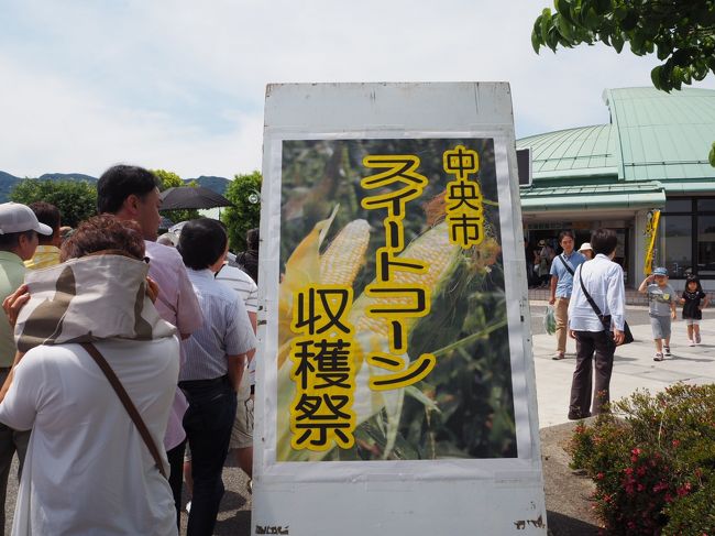 昨年、山梨の温泉に向かう道中の道の駅でちょうどその時に開催されていた「中央市 スイートコーン収穫祭」に立ち寄り、ラストぎりぎりでゲットできたとうもろこしがとっても美味しくて、今年はそれを目当てに日帰りで行って来ました！<br />とりあえずとうもろこしを買うことしか決めずに山梨に向かいましたが、とうもろこし以外も充実した1日になりました。<br /><br />・道の駅とよとみ「中央市スイートコーン収穫祭」<br />・清春芸術村<br />・素透撫 (stove)<br />・ほったらかし温泉