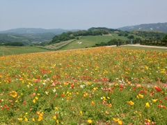 淡路島でのんびり