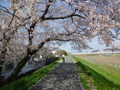 浅川土手散策＆桜 2010/04/10