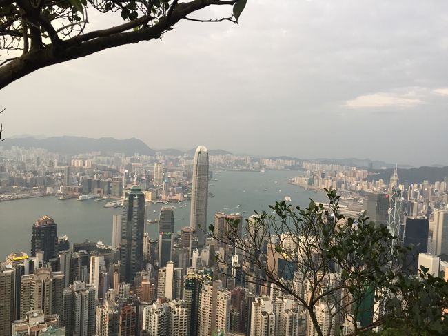 9ヶ月ぶりの香港。ここ最近は一人で行くことが多かったのですが、今回は友人と二人旅。滞在中、雨も降らず香港にしては湿度も低くとっても過ごしやすかった香港。ちょっとびっくりでした。<br />ビクトリアピークでハイキングをしたり、インターコンチのサンデーブランチシャンパンブュッフェを堪能したりと、濃密な3日間を過ごしました。