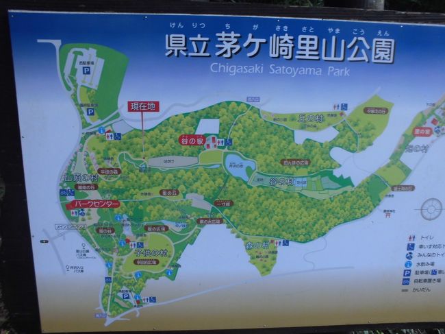 茅ヶ崎市にある茅ヶ崎里山公園の風景を撮ってきました