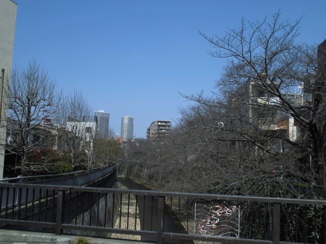 東中野駅から徒歩で新宿の副都心に行ってみました。