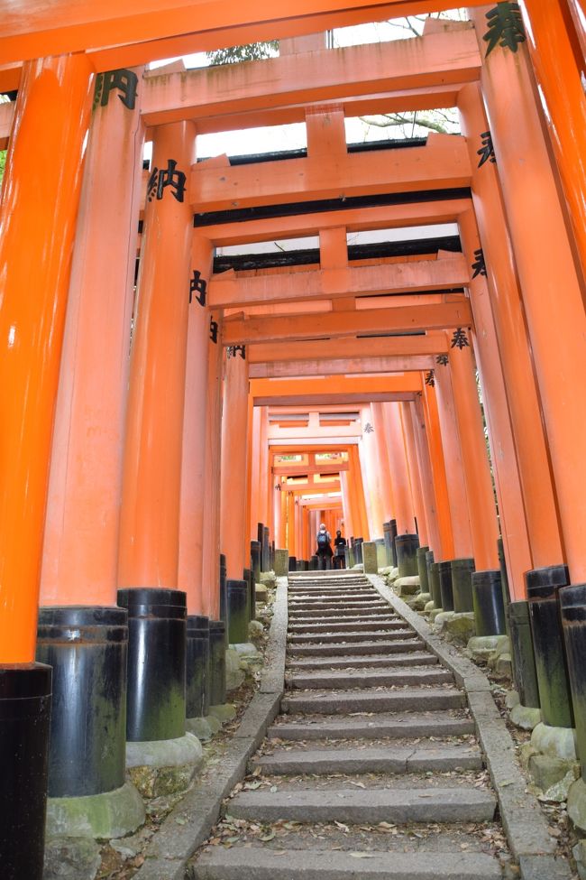 一度は行ってみたいと思っていた、伏見稲荷大社☆<br />軽く散策のつもりが、登山(運動不足の私だけ?)になりました。<br /><br />伏見稲荷大社には無料の駐車場があります!<br />車で行ける範囲の方は、車がおすすめ☆<br />ただ、道幅はとてもせまいです(;^_^A<br />その辺お気をつけください!