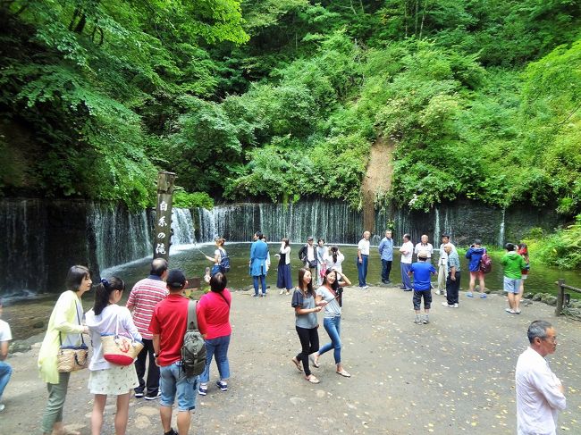 夏休みに家族で群馬＆長野へ旅行に行きました☆<br /><br />２日間ともあいにくの天気でしたが、美味しい料理やドライブ、買い物を楽しむことができました。<br /><br />この旅行の記録は、２冊に分けてまとめています。<br />（下記行程の◆が、本旅行記の該当部分です。）<br /><br />《１日目》<br />◇伊香保温泉<br />◇榛名湖<br />◇榛名神社<br />◇草津温泉<br />◆嬬恋高原(泊)<br /><br />《２日目》<br />◆白糸の滝<br />◆軽井沢アウトレット