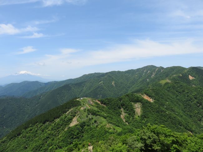 梅雨入り直前の週末に丹沢登山に行ってきました。<br />東京近郊のアクセスがよく日帰りで行ける山の中では一番景色がよくて、登りごたえのある山だと思っているので大好きなところです。<br />私は紅葉よりも新緑の景色の方が好きなので、今回は青々と美しい新緑の表尾根を堪能することが出来て大満足です。<br />6月なのにカラッと晴れて、富士山も見ることが出来て本当に最高でした。<br /><br />昨年は手を骨折したせいでほとんど登山が出来ず、丹沢に行くのは1年ぶり。<br />わくわくする気持ちと、かなり体力が落ちてしまったので登れるか不安もありましたが無事に予定のコースを登りきることが出来てよかったです。<br />今年初めての百名山に登ることが出来た達成感もあり。<br /><br />＜タイム＞<br />ヤビツ峠(9:10) － 登山道入口(9:29) － 二ノ塔(10:18) － 三ノ塔(10:35) － 烏尾山(11:06) － 行者ヶ岳(11:25) － 政次郎ノ頭(11:51) － 新大日(12:12) － 塔ノ岳(12:52-13:20) － 日高(13:45) － 丹沢山(14:22-14:30) － 塔ノ岳(15:26-15:38) － 花立山荘(16:04) － 堀山の家(16:31) － 見晴茶屋(17:10) － 大倉登山道入口(17:34) － 大倉バス停(17:40)<br /><br />じわじわ他の山も登っていたのですが、翌日から下半身全てがひどい筋肉痛に見舞われました。うーん、やっぱりまだ筋肉がぜんぜん足りないか。